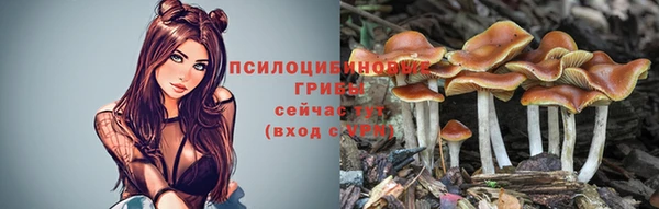 ПСИЛОЦИБИНОВЫЕ ГРИБЫ Верхний Тагил