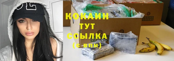 ПСИЛОЦИБИНОВЫЕ ГРИБЫ Верхний Тагил