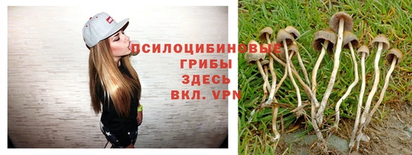 PSILOCYBIN Горнозаводск