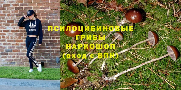 метадон Верея
