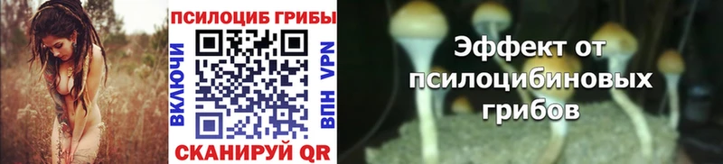 Псилоцибиновые грибы MAGIC MUSHROOMS  Горячий Ключ 
