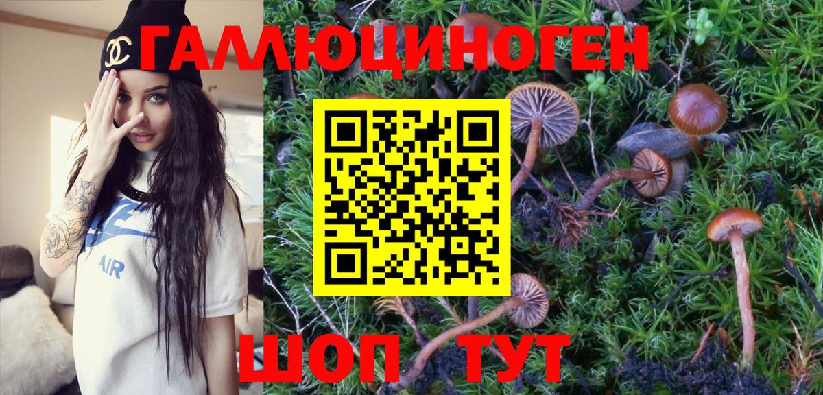 Псилоцибиновые грибы GOLDEN TEACHER Горячий Ключ